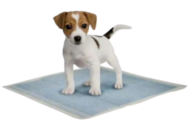 Абсорбирующие пелёнки